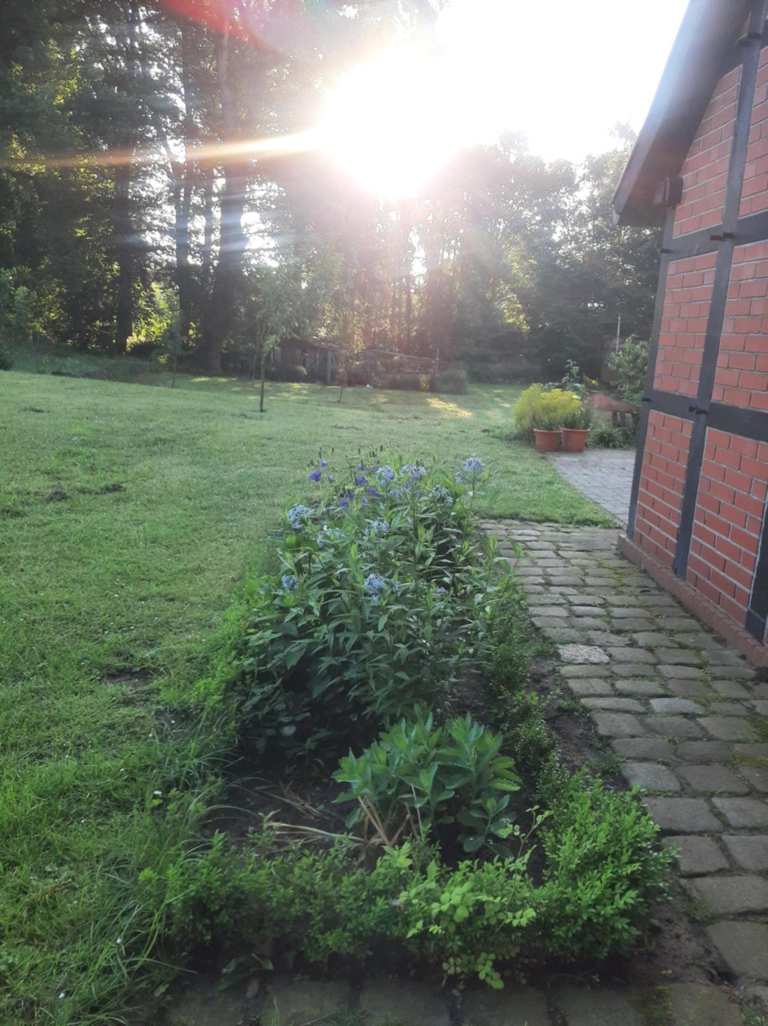 Ferienwohnung Auf Dem Land Ladbergen Екстер'єр фото