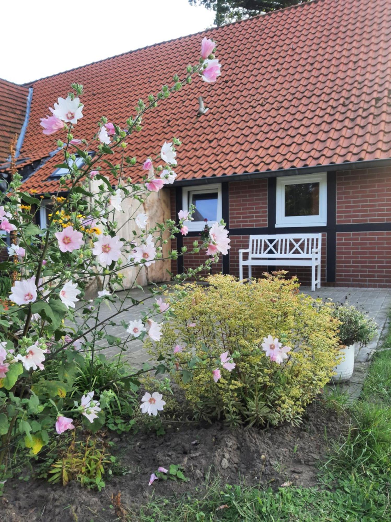 Ferienwohnung Auf Dem Land Ladbergen Екстер'єр фото