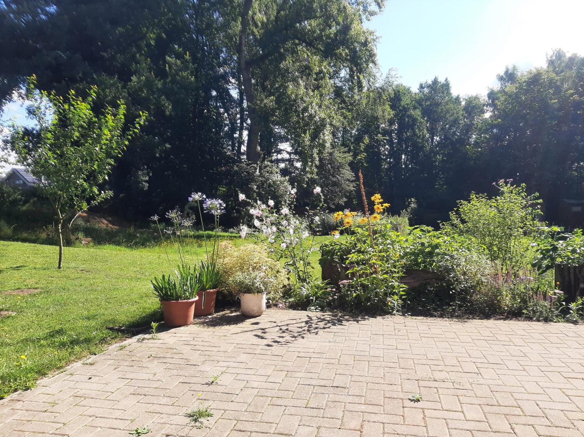 Ferienwohnung Auf Dem Land Ladbergen Екстер'єр фото