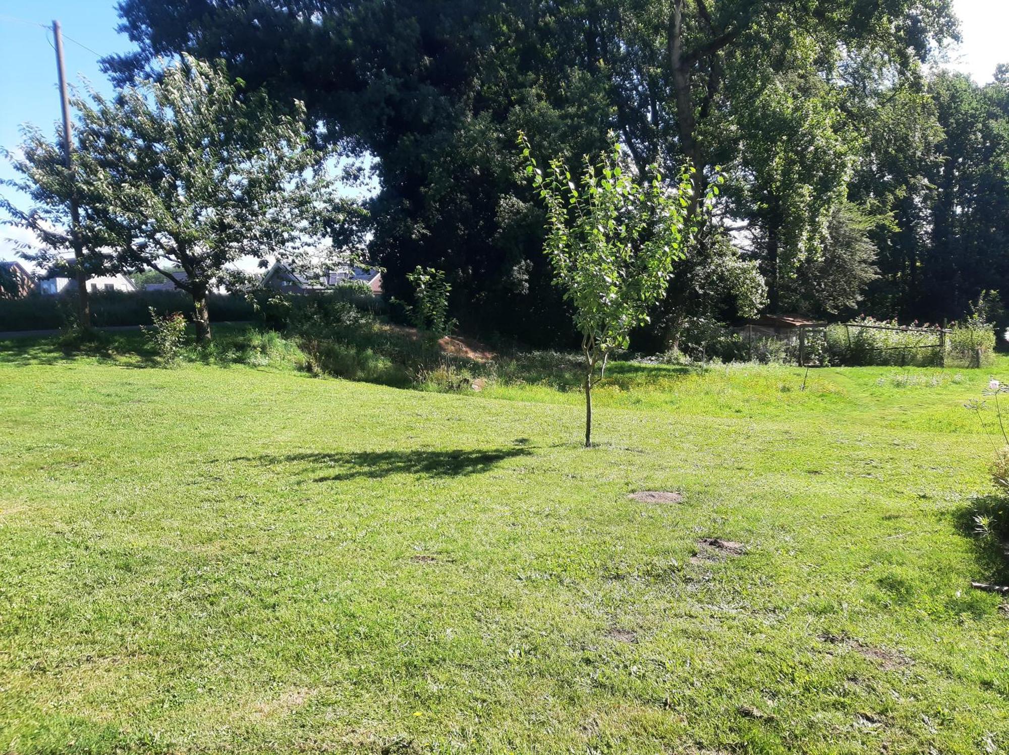 Ferienwohnung Auf Dem Land Ladbergen Екстер'єр фото